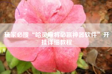 玩家必搜“哈灵麻将必赢神器软件	”开挂详细教程