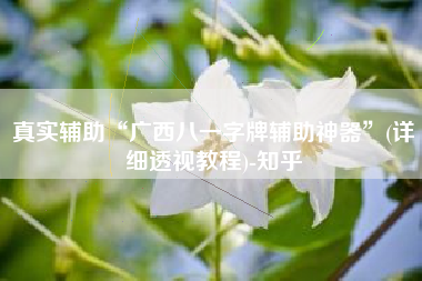 真实辅助“广西八一字牌辅助神器”(详细透视教程)-知乎