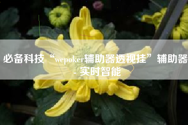必备科技“wepoker辅助器透视挂	”辅助器 - 实时智能