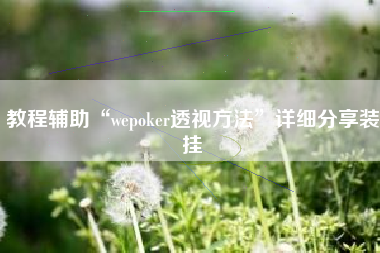 教程辅助“wepoker透视方法	”详细分享装挂