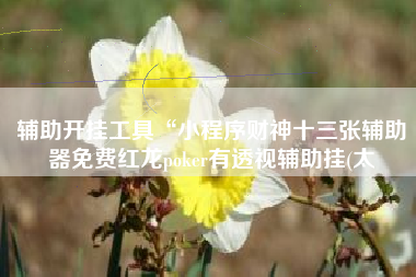 辅助开挂工具“小程序财神十三张辅助器免费红龙poker有透视辅助挂(太