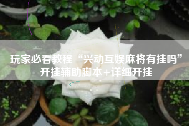 玩家必看教程“兴动互娱麻将有挂吗”开挂辅助脚本+详细开挂