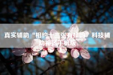 真实辅助“相约十三张有挂吗”科技辅助神器手机版