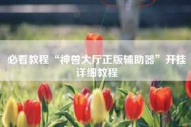 必看教程“神兽大厅正版辅助器”开挂详细教程