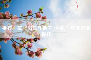 推荐一款“微乐斗地主(透视)”其实确实有挂