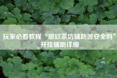 玩家必看教程“顺欣茶坊辅助器安全吗”开挂辅助详细