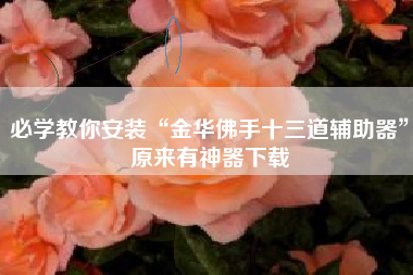 必学教你安装“金华佛手十三道辅助器”原来有神器下载