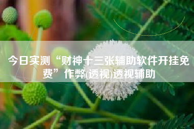 今日实测“财神十三张辅助软件开挂免费	”作弊(透视)透视辅助