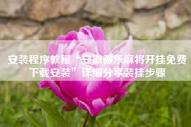 安装程序教程“安徽微乐麻将开挂免费下载安装”详细分享装挂步骤