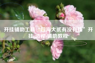 开挂辅助工具“四海大贰有没有挂”开挂(透视)辅助教程