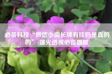 必备科技“微信小南长牌有挂吗是真的吗”(曝光透视必备猫腻