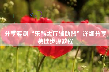 分享实测“乐酷大厅辅助器”详细分享装挂步骤教程