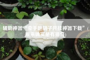 辅助神器“牵手跑胡子开挂神器下载”(原来确实是有插件)