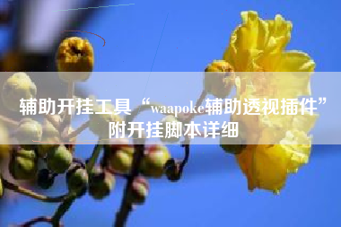 辅助开挂工具“waapoke辅助透视插件”附开挂脚本详细