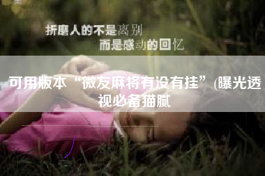 可用版本“微友麻将有没有挂	”(曝光透视必备猫腻