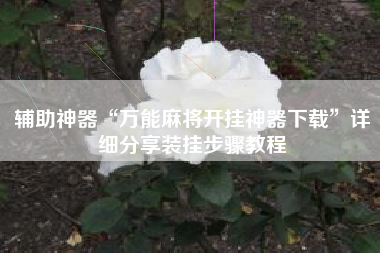 辅助神器“万能麻将开挂神器下载	”详细分享装挂步骤教程