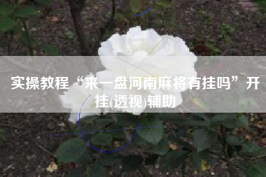 实操教程“来一盘河南麻将有挂吗”开挂(透视)辅助