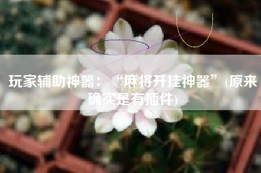 玩家辅助神器：“麻将开挂神器	”(原来确实是有插件)