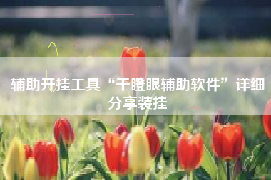 辅助开挂工具“干瞪眼辅助软件”详细分享装挂