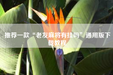 推荐一款“老友麻将有挂吗”通用版下载教程