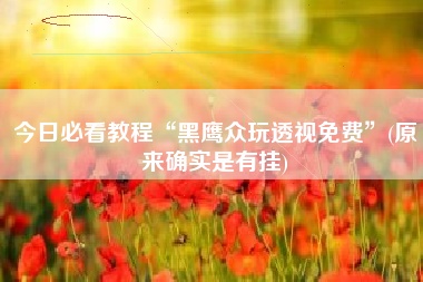 今日必看教程“黑鹰众玩透视免费	”(原来确实是有挂)