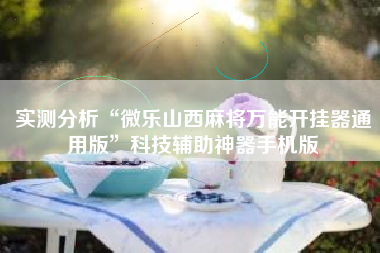 实测分析“微乐山西麻将万能开挂器通用版”科技辅助神器手机版