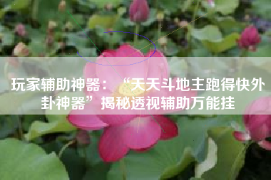 玩家辅助神器：“天天斗地主跑得快外卦神器”揭秘透视辅助万能挂