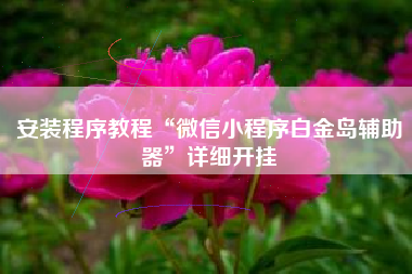 安装程序教程“微信小程序白金岛辅助器”详细开挂