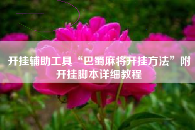 开挂辅助工具“巴蜀麻将开挂方法	”附开挂脚本详细教程