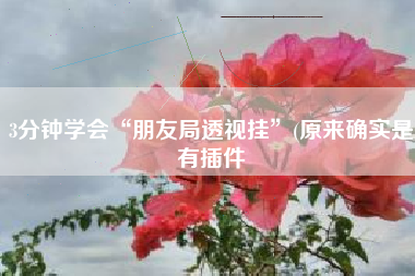 3分钟学会“朋友局透视挂	”(原来确实是有插件