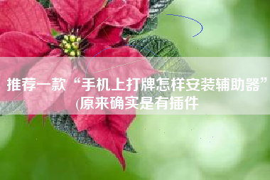 推荐一款“手机上打牌怎样安装辅助器	”(原来确实是有插件