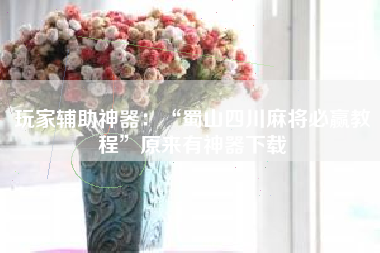 玩家辅助神器：“蜀山四川麻将必赢教程”原来有神器下载