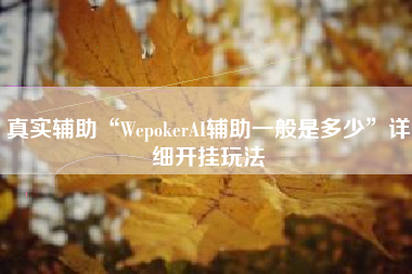 真实辅助“WepokerAI辅助一般是多少”详细开挂玩法