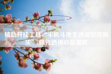 辅助开挂工具“手机斗地主透视软件购买”(曝光透视必备猫腻