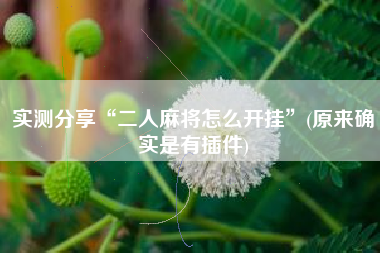 实测分享“二人麻将怎么开挂”(原来确实是有插件)