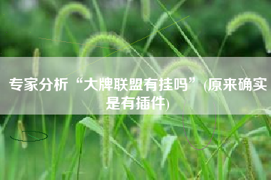 专家分析“大牌联盟有挂吗	”(原来确实是有插件)