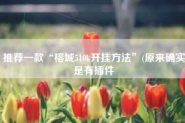 推荐一款“榕城510k开挂方法	”(原来确实是有插件