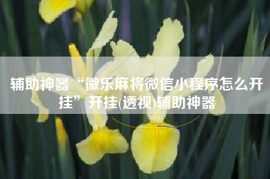 辅助神器“微乐麻将微信小程序怎么开挂	”开挂(透视)辅助神器