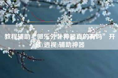 教程辅助“微乐外卦神器真的有吗”开挂(透视)辅助神器
