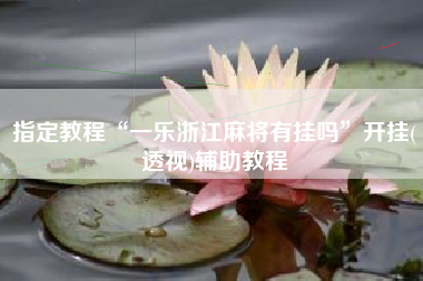 指定教程“一乐浙江麻将有挂吗	”开挂(透视)辅助教程