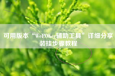 可用版本“WePOKer辅助工具”详细分享装挂步骤教程