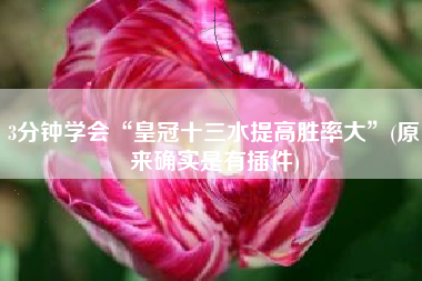 3分钟学会“皇冠十三水提高胜率大”(原来确实是有插件)