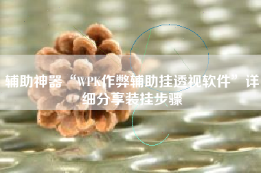 辅助神器“WPK作弊辅助挂透视软件”详细分享装挂步骤