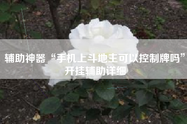 辅助神器“手机上斗地主可以控制牌吗	”开挂辅助详细