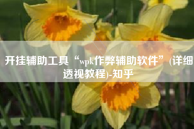 开挂辅助工具“wpk作弊辅助软件	”(详细透视教程)-知乎