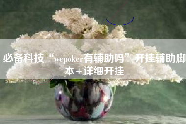必备科技“wepoker有辅助吗”开挂辅助脚本+详细开挂