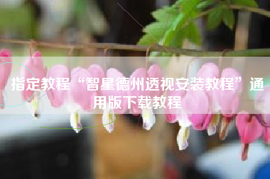 指定教程“智星德州透视安装教程”通用版下载教程