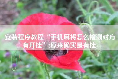 安装程序教程“手机麻将怎么检测对方有开挂”(原来确实是有挂)