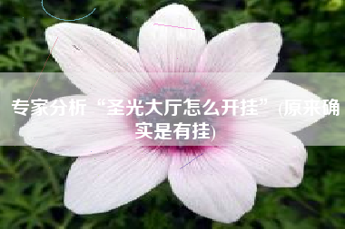 专家分析“圣光大厅怎么开挂”(原来确实是有挂)