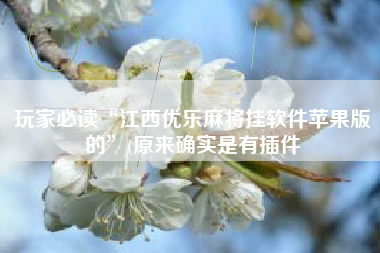 玩家必读“江西优乐麻将挂软件苹果版的”(原来确实是有插件